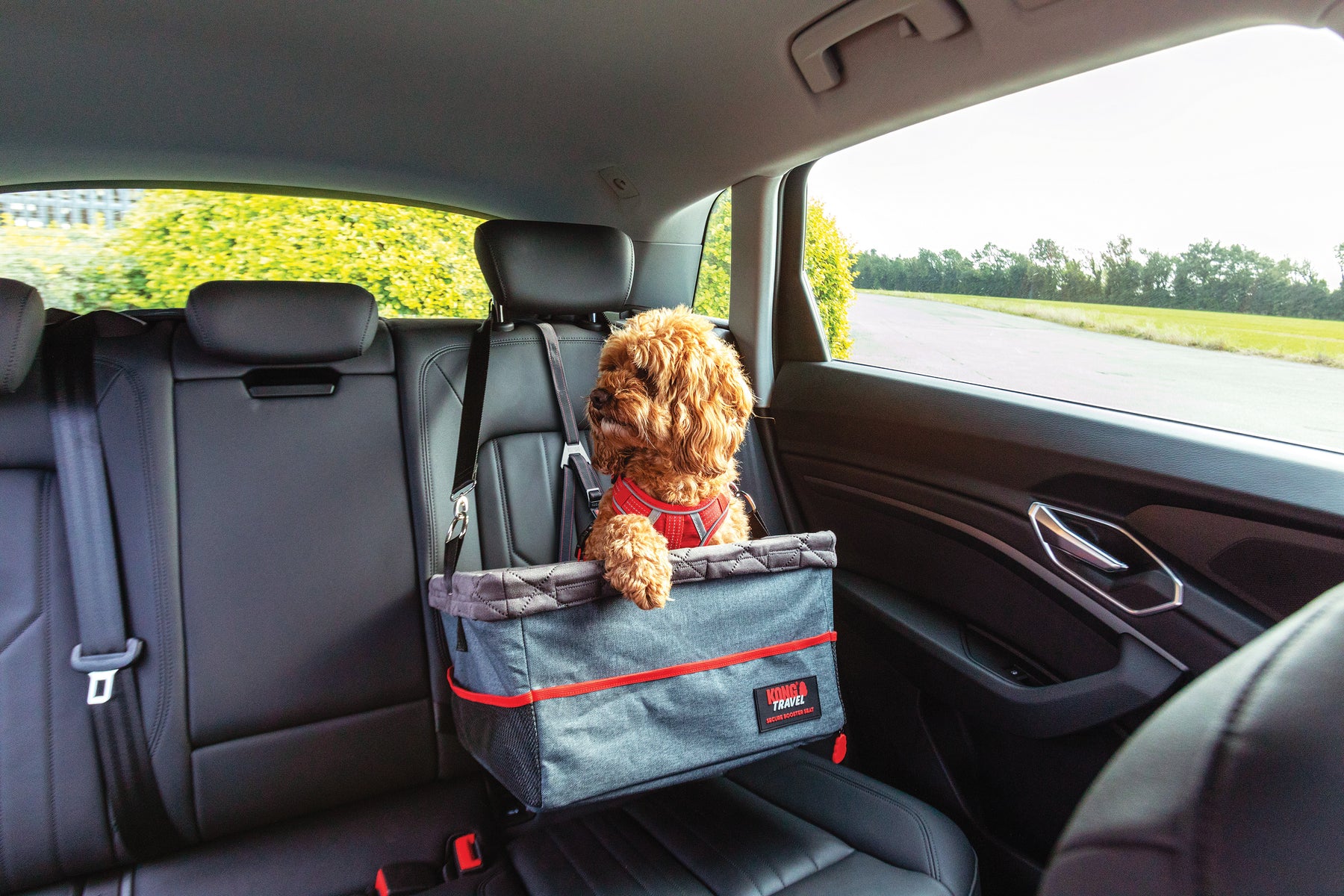 KONG Ultimate Booster Seat & Tether – Magnet and Steel, Inc.