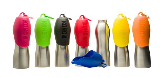 Kong Dog Water Bottle: Essential Gear for Hydrated Pets