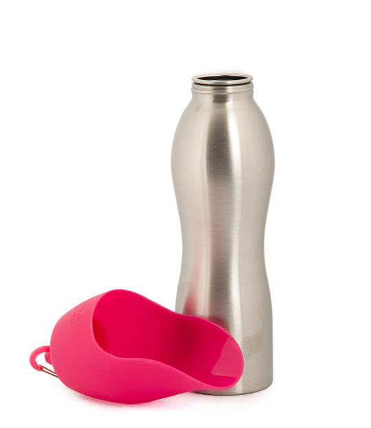 Kong water bottle toy hotsell