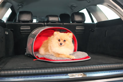 KONG 2-In-1 Pet Carrier & Travel Mat